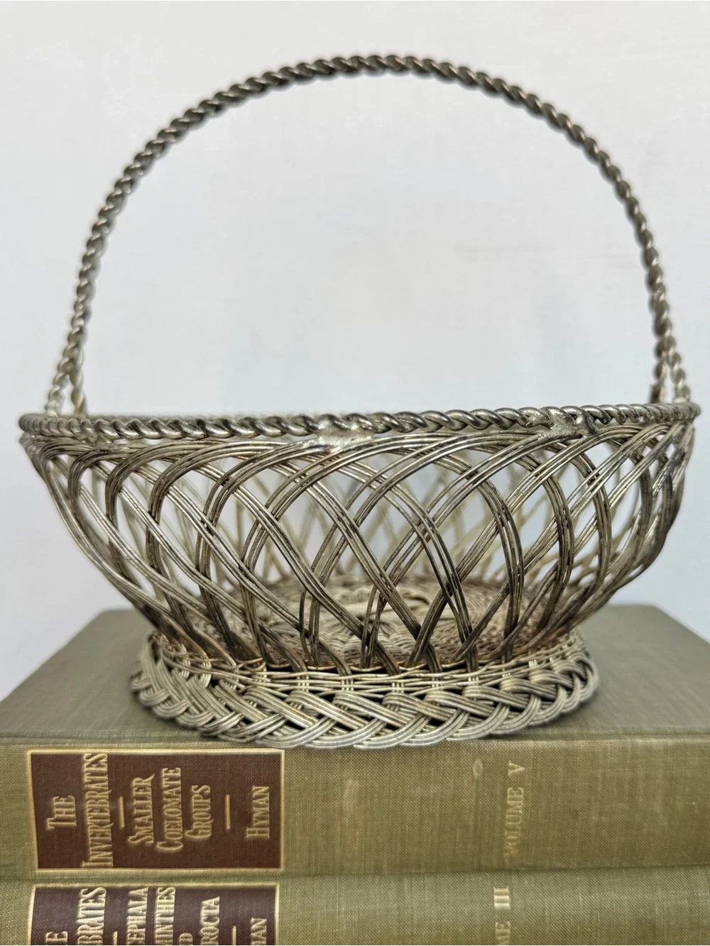 Vintage Silver Woven Wire Basket with Handle Decorative Home Accent